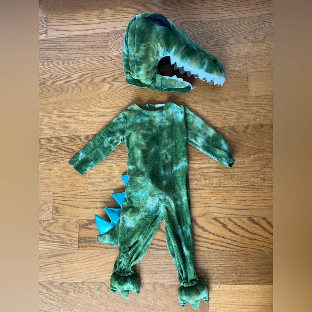 Pottery Barn Green Dinosaur Costume